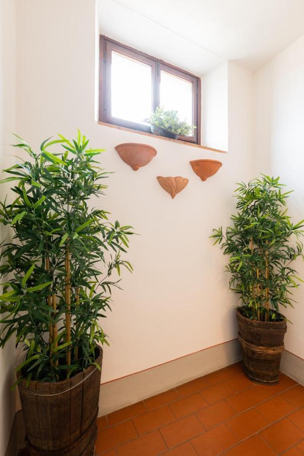 Fiesole'S Cozy Apartment 1 المظهر الخارجي الصورة